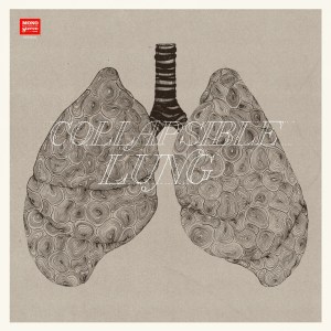 921138_10151618397549805_1554512763_o