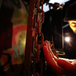 A REAL BUG’S LIFE – Shrinking the Camera Crew